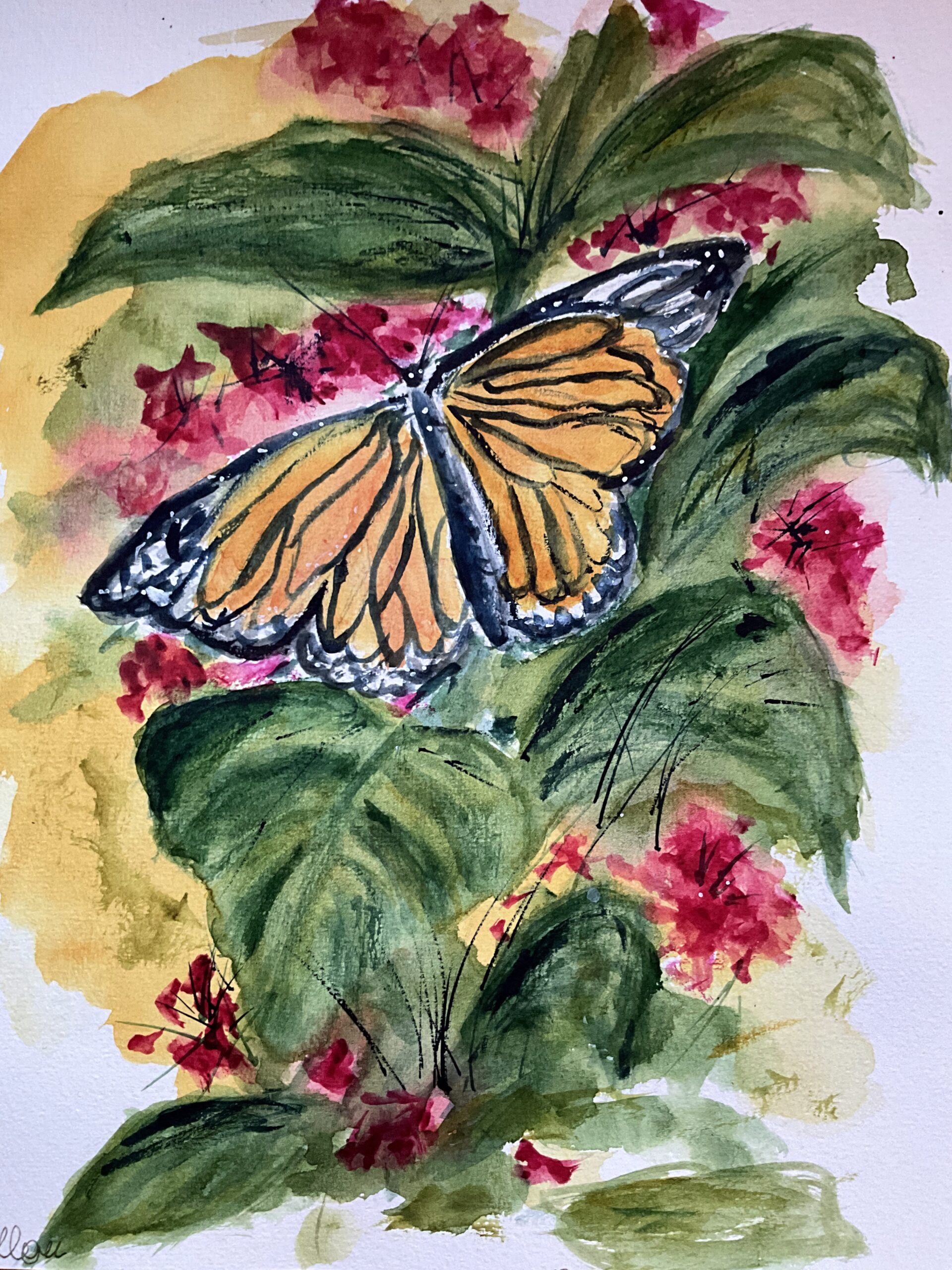 Butterfly